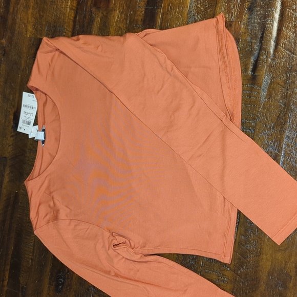 Bar III Essentials Bodycon Long-Sleeve cropped top Size L Terra Stone - Picture 1 of 5
